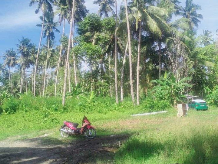 3000 sqm Raw Land For Sale in Tagum City Davao Del Norte