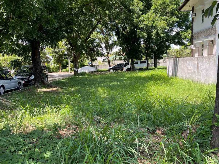 251 sqm Residential Lot For Sale in Bacoor Cavite