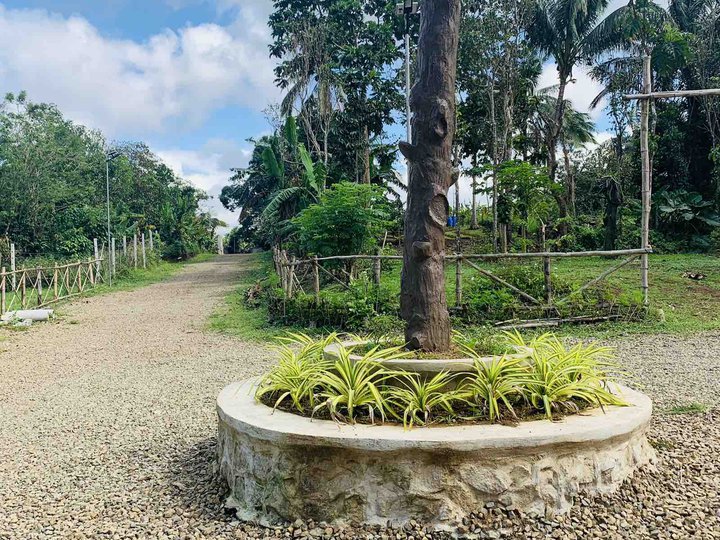 Farm lot for sale near Sonyas Garden Alfonso Cavite [Lot 🚜] (July 2022