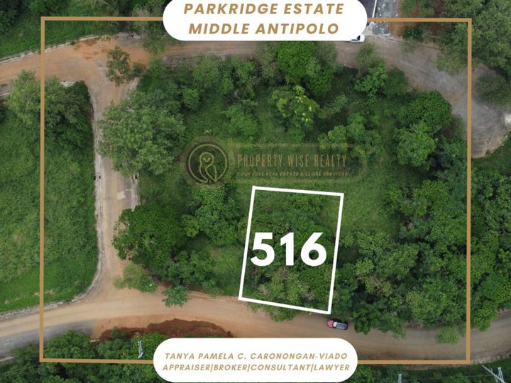 Lot for Sale| Overlooking View at Parkridge Antipolo