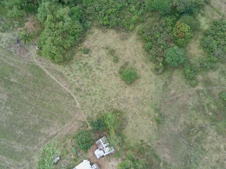 1,000 sqm Farm Lot For Sale in Bani Pangasinan