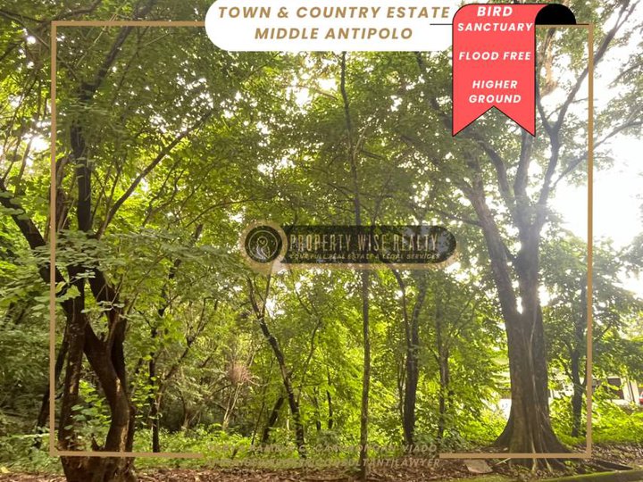 Rare Small Through Lot  | Town & Country Estate Antipolo