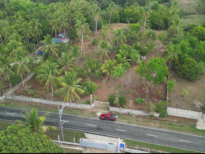 500 to 1000 sqm Farm Lot in Amadeo Cavite