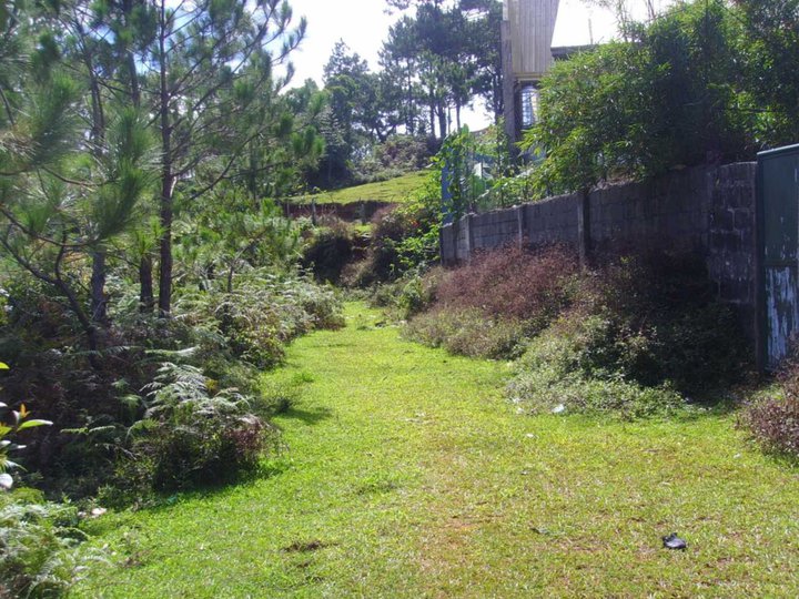 2.5 hectares Raw Land For Sale in Baguio Benguet