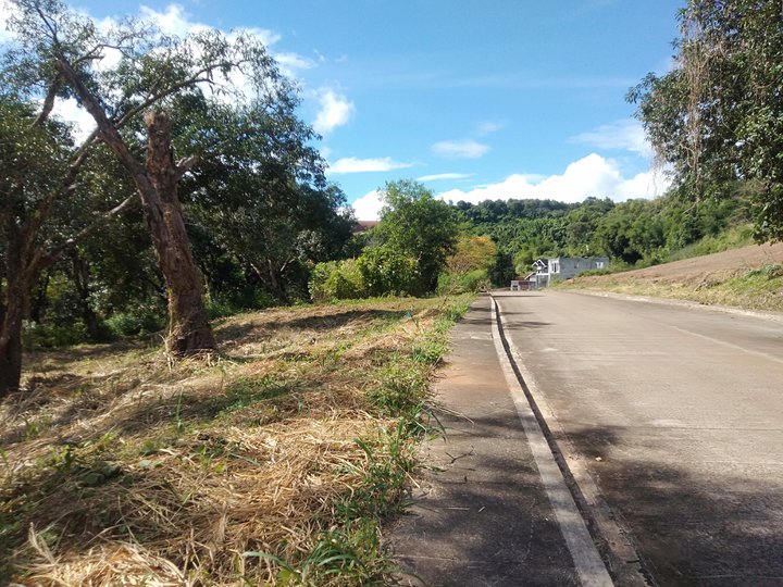 Residential Lot with hidden pond in Sun valley Antipolo city
