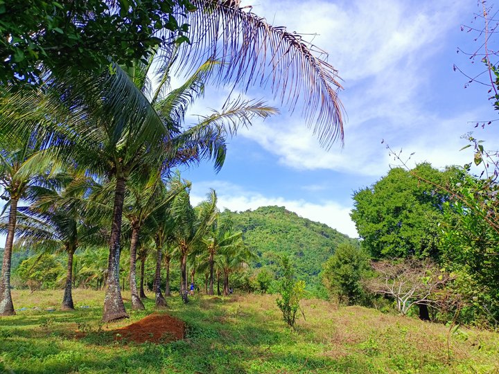 AFFORDABLE TITLED LOT IN TANAY RIZAL