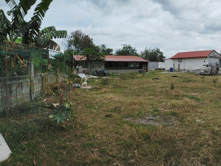 2000 sqm Residential Farm For Sale in Porac Pampanga