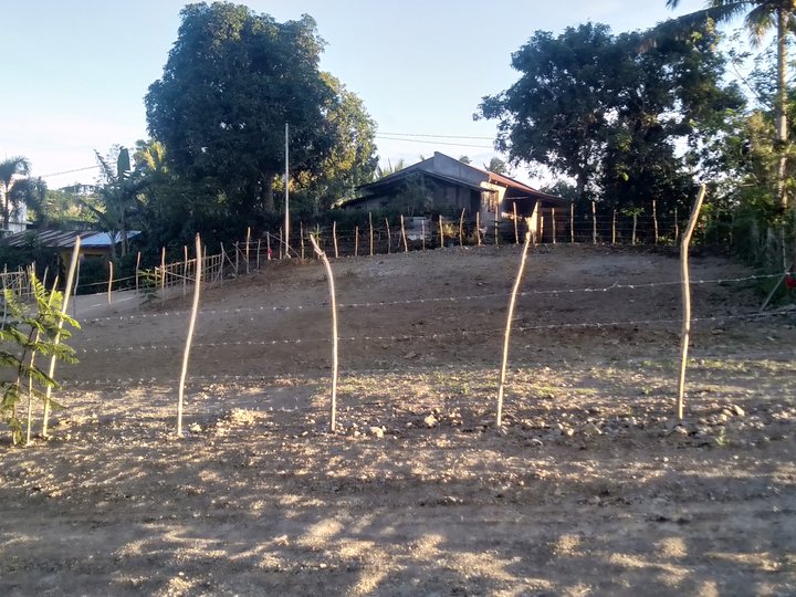 Residential farm lot Near tagaytay city