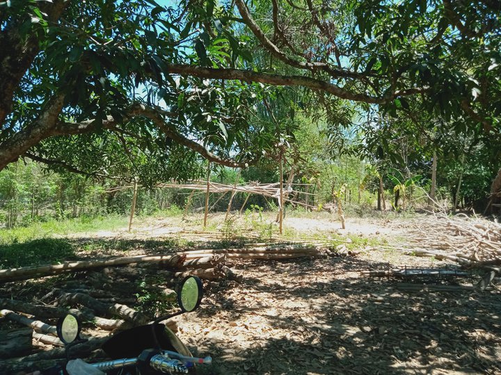 600 sqm Lot for sale in Villasis Pangasinan