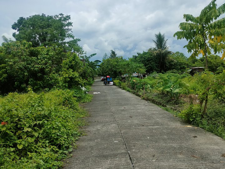 Residential Lot in Laguna