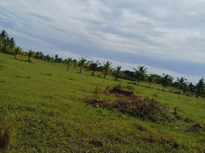 150 sqm Residential Lot For Sale in Daanbantayan Cebu