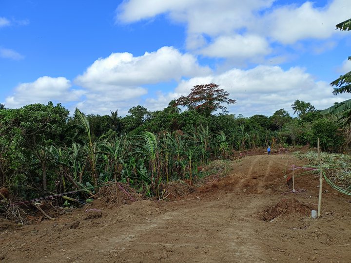 Residential farm in Alfonso ..Good for retirement/vacation  house