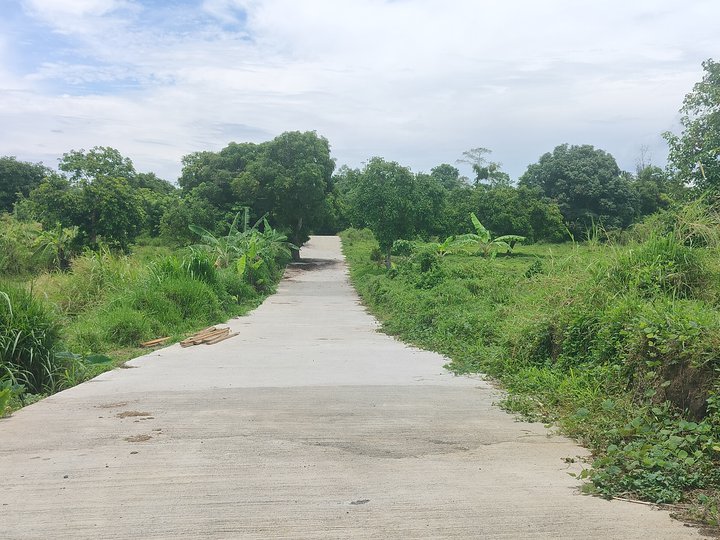 Farm residential Lot 500 sqm For Sale Payable in 2 years