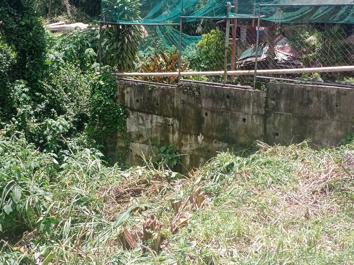 135 sqm Residential Lot For Sale in Baguio Benguet