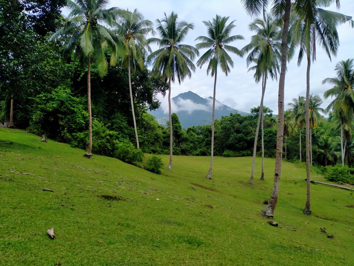 Property located at Timbao, Bacong Negros Oriental