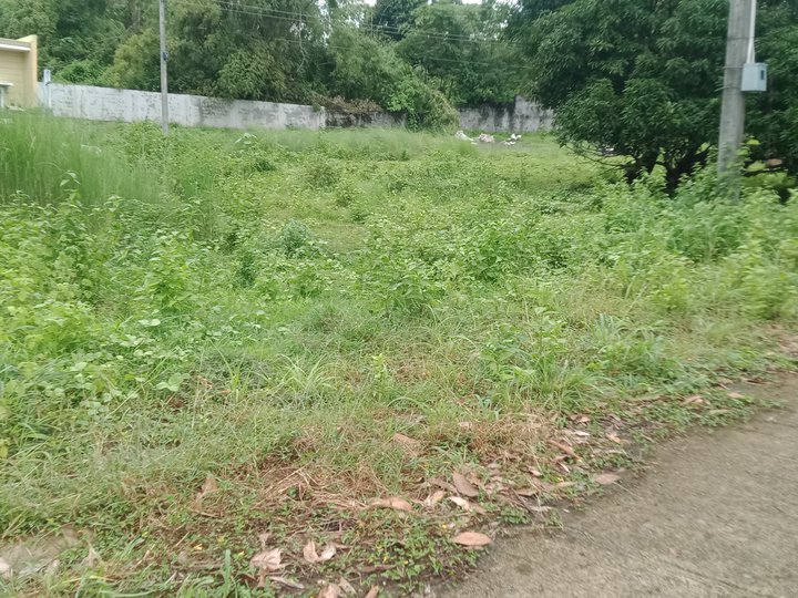 Discounted 144 sqm Residential Lot For Sale thru Pag-IBIG in Alaminos