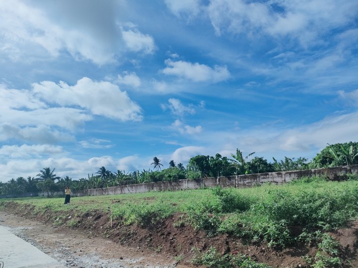 Residential Farm near Acienda Mall Silang