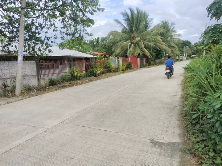 2022 sqm compound  of 3 houses in four titled lots at purok 6 brgy manay panabo city davao del norte