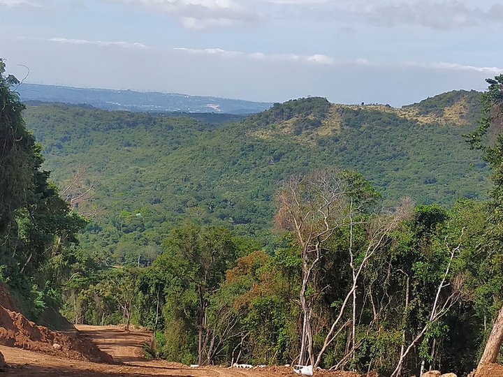 252 sqm Residential Lot For Sale in Tanay Rizal