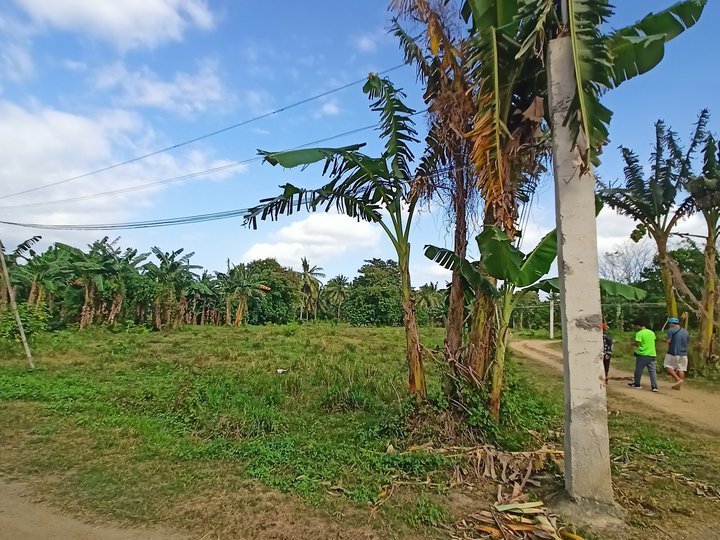 Good Investment Lot For Sale in Candelaria Quezon