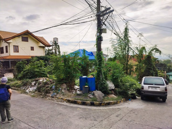 Lot Only For Sale In Ridgemond Taytay Rizal