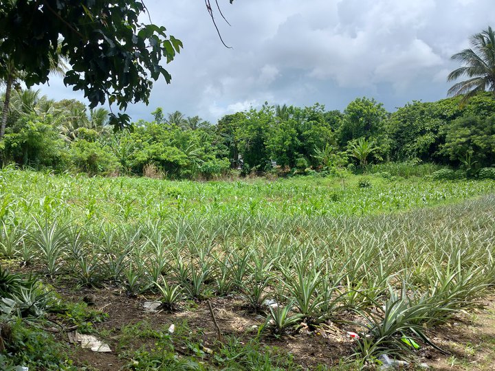 300 sqm Residential Farm For Sale in Mendez (Mendez-Nunez) Cavite