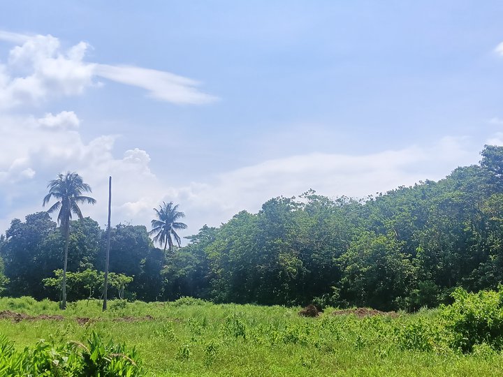 200 sqm Residential Lot For Sale in Alfonso Cavite