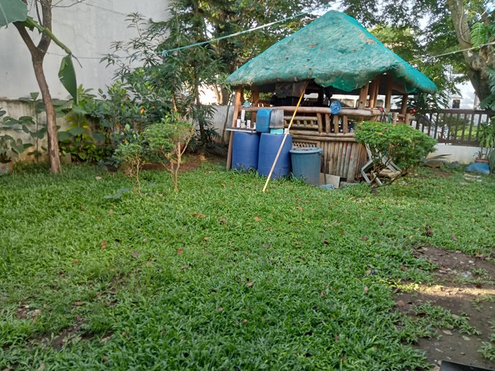 120 sqm Residential Lot For Sale in Binan Laguna