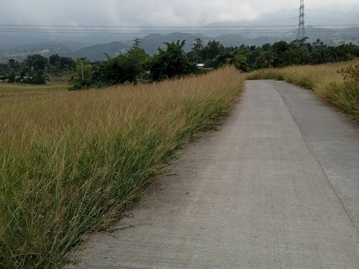 1 hectare Farm Lot For Sale in Badian Cebu