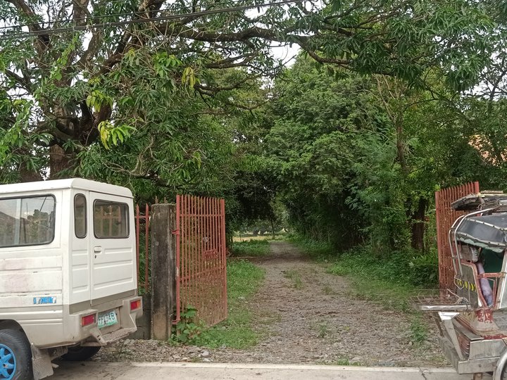 Residential Farm For Sale in Brgy. Lunec Malasiqui Pangasinan