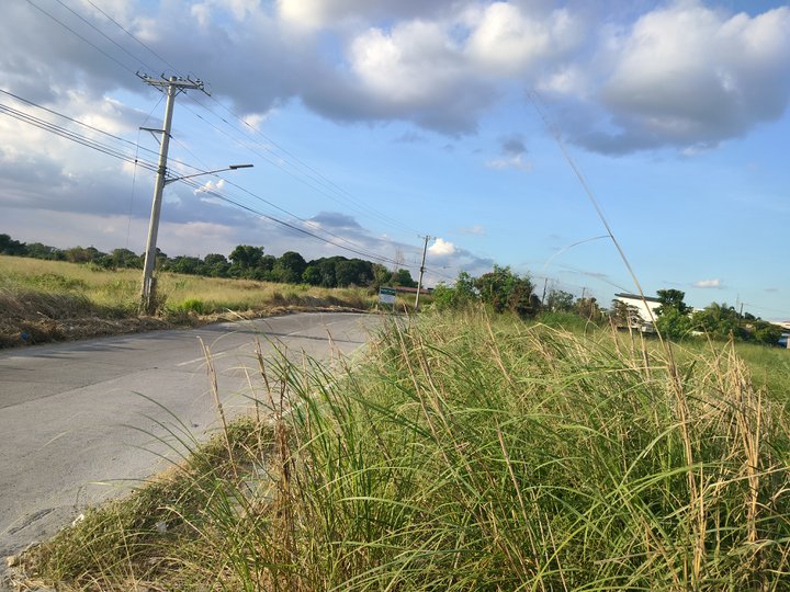Commercial Lot along Alasas San Isidro Road