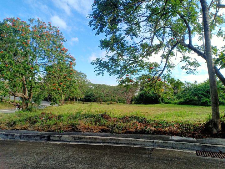 540 sqm Residential Lot For Sale in San Pedro Laguna