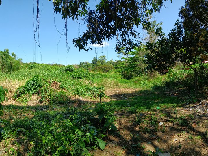 1651 sqm raw land for sale in Taytay- antipolo