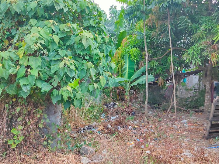 1,000 sqm Lot for Long Term Lease