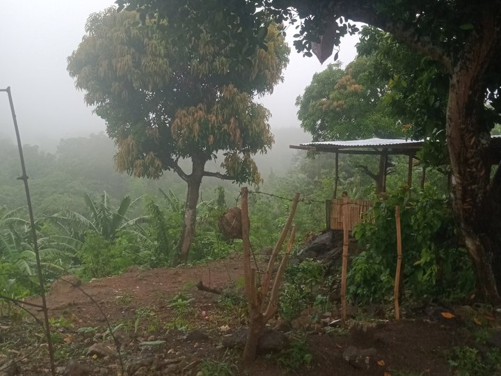 Private Property Along Highway