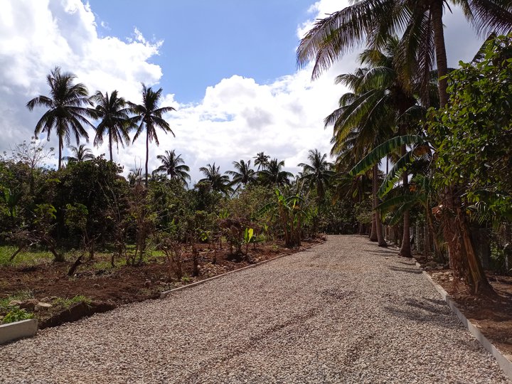 Private Lot Subdivided residential farm in Alfonso Cavite