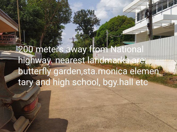 Mitra Road Lot for Sale in PPCPalawan