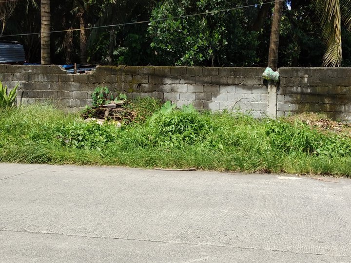 5986sqm commercial lot McLeod Toril  Davao City