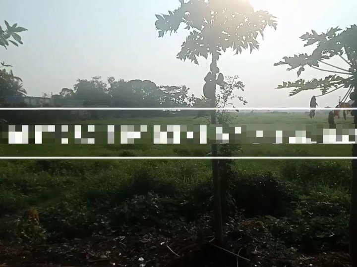 Tangos Baliuag Bulacan Flat Land For Sale