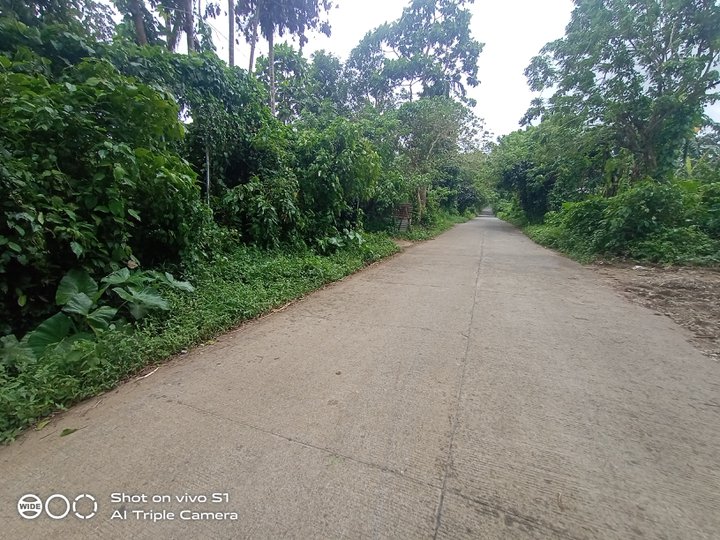 Very Affordable Residential Farm Lot Cool Climate near Tagaytay