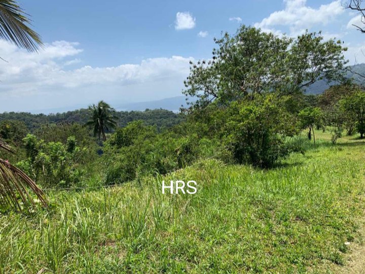 3.2 Hec Vacant Lot For Sale St Francis Dr Brgy Francisco Tagaytay
