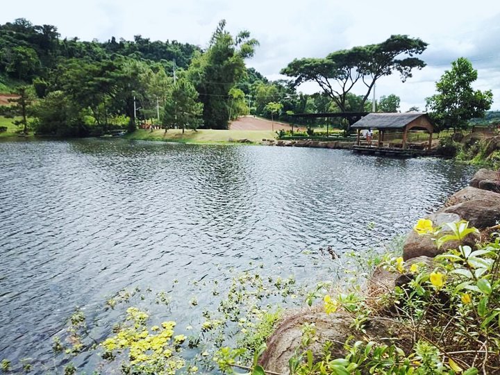LOT For sale in SUNVALLEY ANTIPOLO HIDDEN POND
