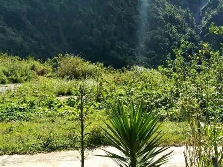 Green Valley Baguio City Lot For Sale