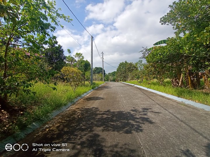 Residential Lot for Sale Along Prov'l. Road Indang Cavite