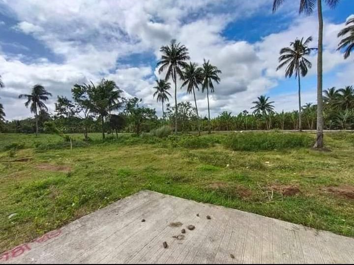 Avail our Newly Opened Residential Farmlot near in Tagaytay
