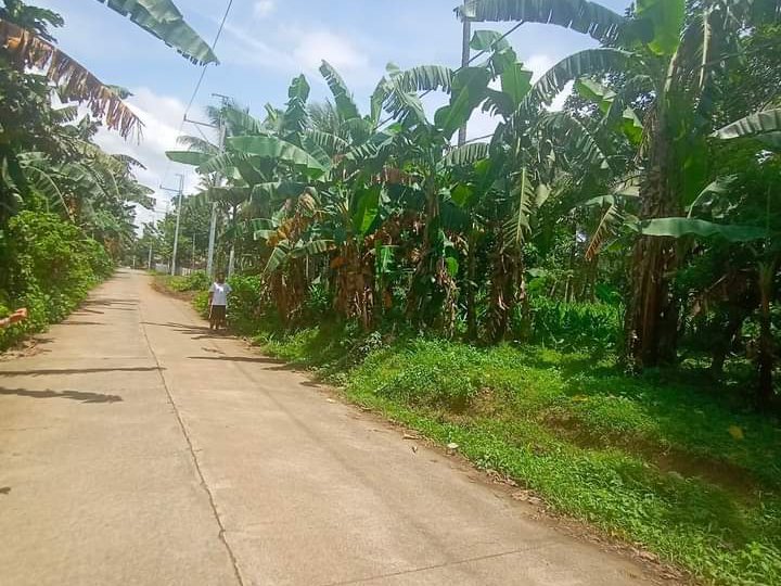 RESIDENTIAL FARM LOT FOR SALE ALONG BRGY ROAD NEAR EASTWEST ROAD