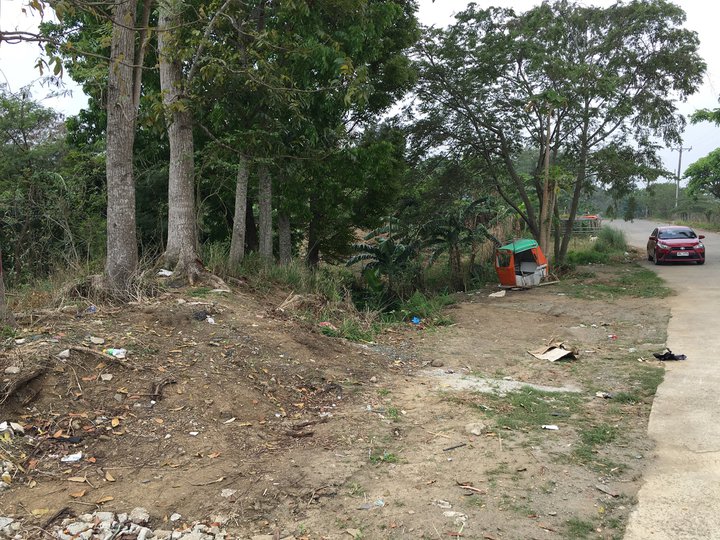 Commercial lot for sale in Osorio Trece Martirez city