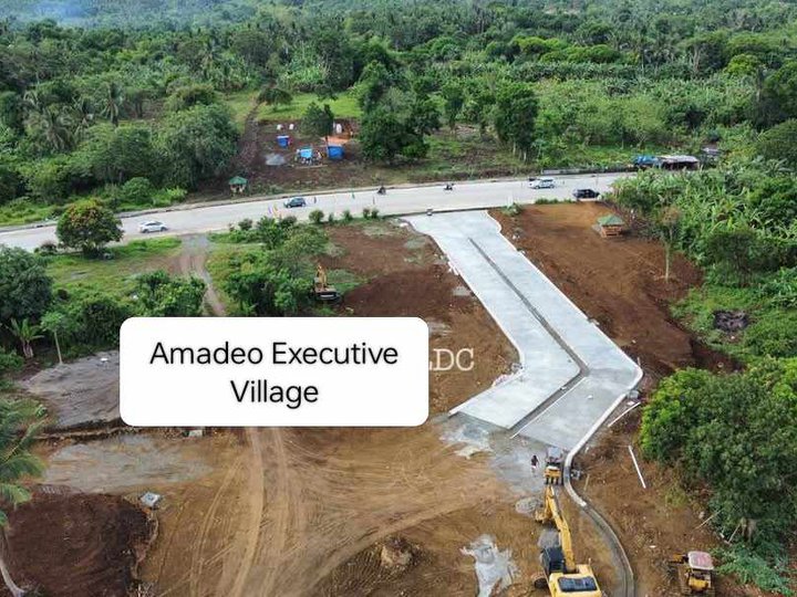 200 sqm Residential Farm For Sale in Amadeo Cavite