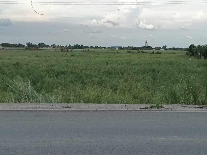 4.74 hectares Agricultural Farm for sale in Concepcion Tarlac