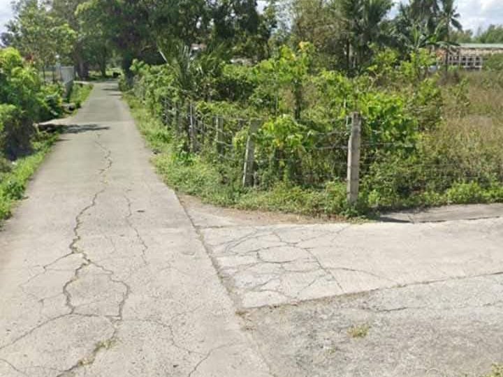 1,000 sqm Residential Farm For Sale in Rosario Batangas